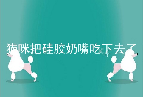 猫咪把硅胶奶嘴吃下去了