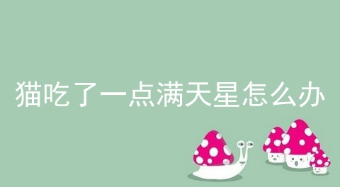 猫吃了一点满天星怎么办