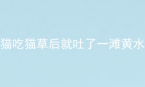 猫吃猫草后就吐了一滩黄水