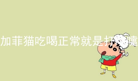 加菲猫吃喝正常就是打喷嚏