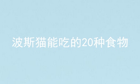 波斯猫能吃的20种食物