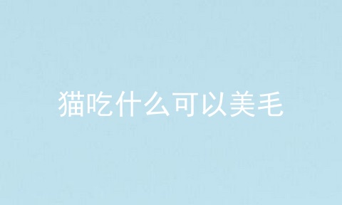 猫吃什么可以美毛