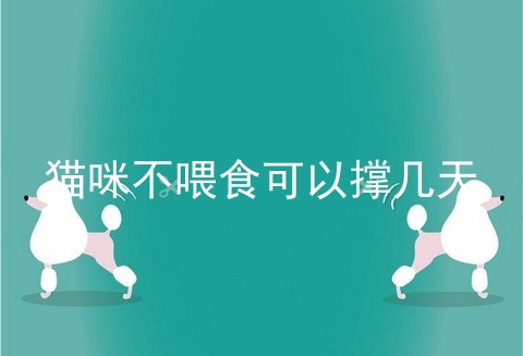 猫咪不喂食可以撑几天