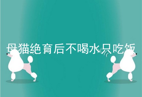 母猫绝育后不喝水只吃饭