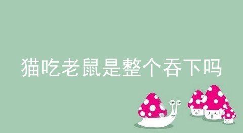 猫吃老鼠是整个吞下吗