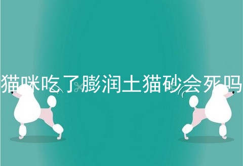 猫咪吃了膨润土猫砂会死吗
