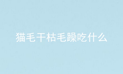 猫毛干枯毛躁吃什么