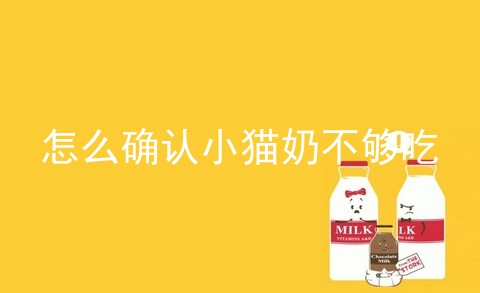 怎么确认小猫奶不够吃