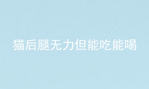 猫后腿无力但能吃能喝