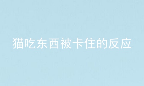 猫吃东西被卡住的反应