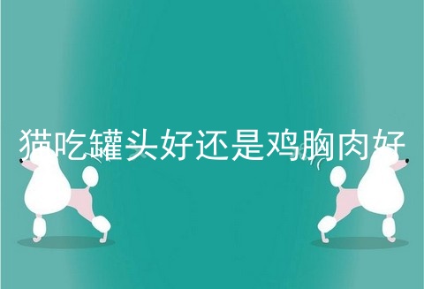 猫吃罐头好还是鸡胸肉好