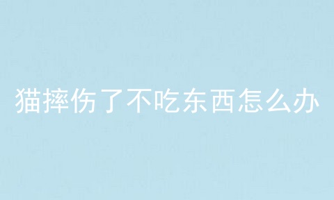 猫摔伤了不吃东西怎么办