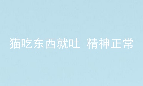 猫吃东西就吐 精神正常