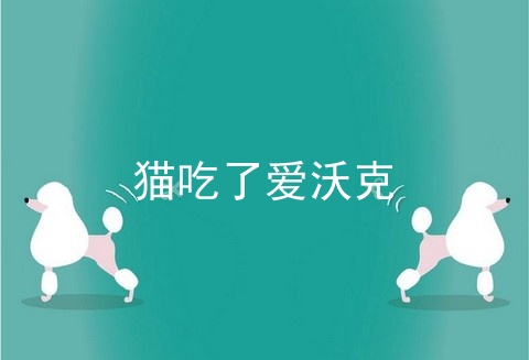 猫吃了爱沃克