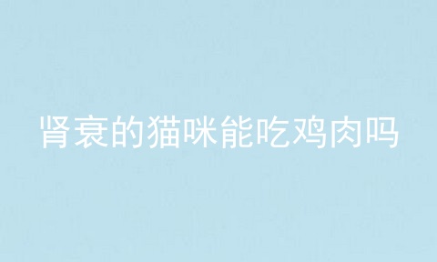 肾衰的猫咪能吃鸡肉吗