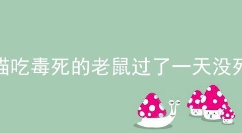 猫吃毒死的老鼠过了一天没死
