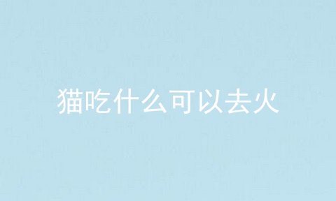 猫吃什么可以去火