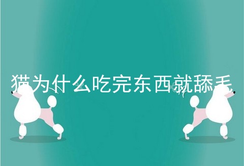 猫为什么吃完东西就舔毛