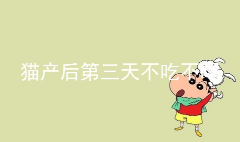 猫产后第三天不吃不喝