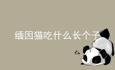 缅因猫吃什么长个子