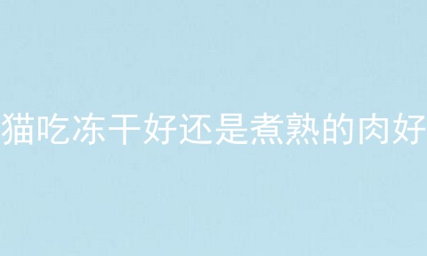 猫吃冻干好还是煮熟的肉好