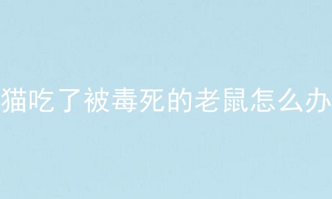 猫吃了被毒死的老鼠怎么办
