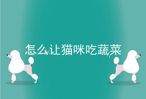怎么让猫咪吃蔬菜