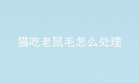 猫吃老鼠毛怎么处理