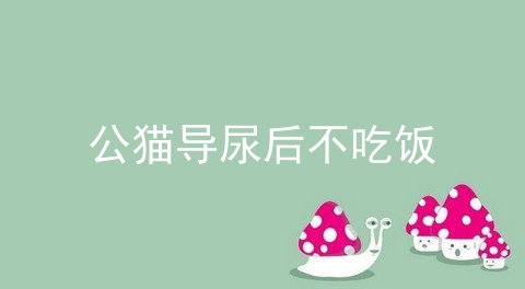公猫导尿后不吃饭
