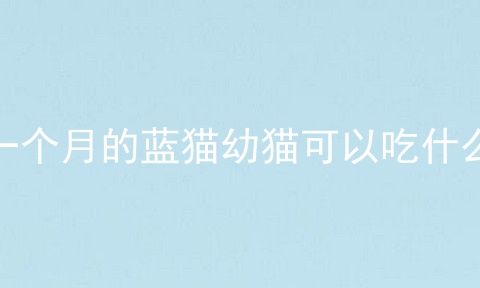 一个月的蓝猫幼猫可以吃什么