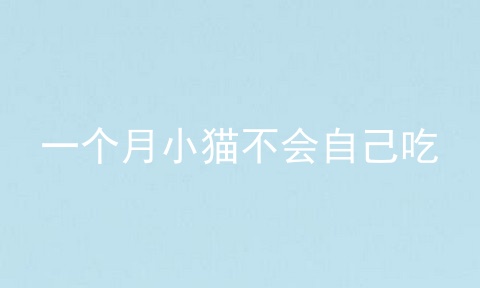 一个月小猫不会自己吃