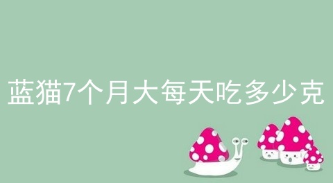 蓝猫7个月大每天吃多少克