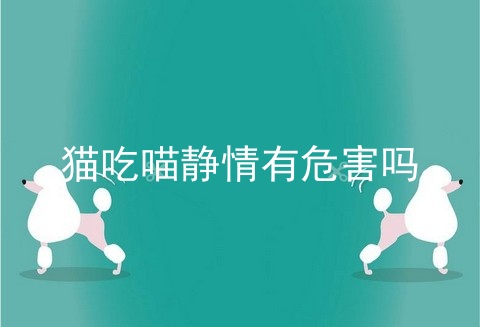 猫吃喵静情有危害吗