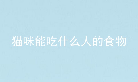 猫咪能吃什么人的食物