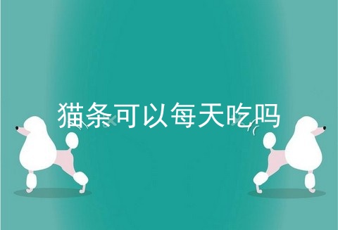 猫条可以每天吃吗