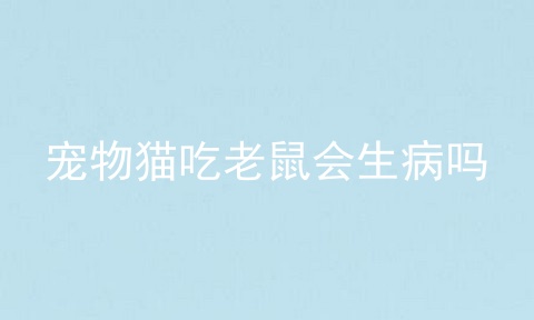 宠物猫吃老鼠会生病吗