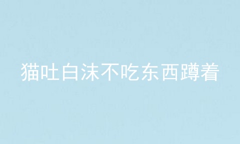 猫吐白沫不吃东西蹲着