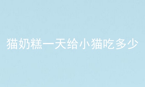 猫奶糕一天给小猫吃多少