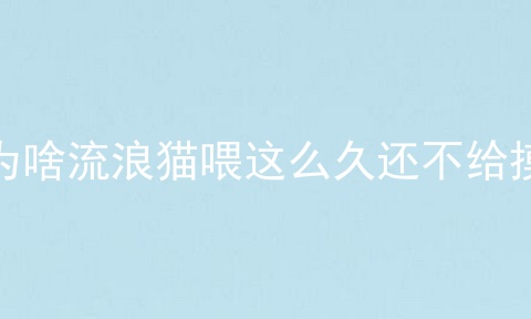 为啥流浪猫喂这么久还不给摸