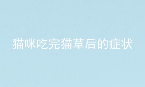 猫咪吃完猫草后的症状