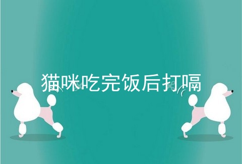 猫咪吃完饭后打嗝