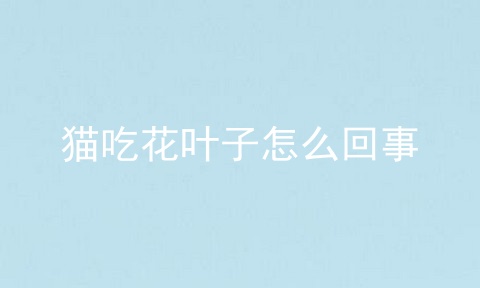 猫吃花叶子怎么回事