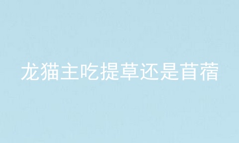 龙猫主吃提草还是苜蓿