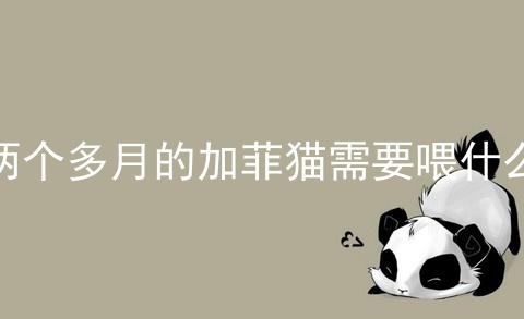 两个多月的加菲猫需要喂什么