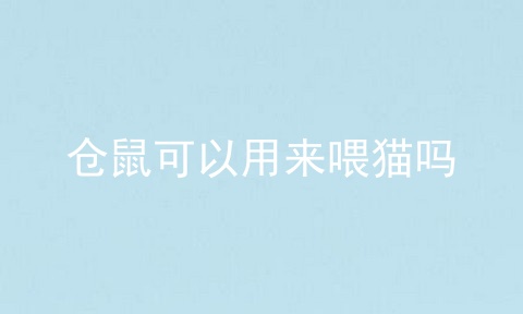 仓鼠可以用来喂猫吗