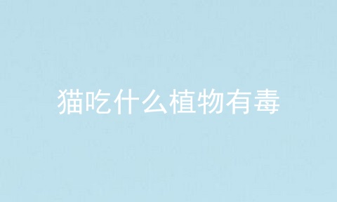 猫吃什么植物有毒