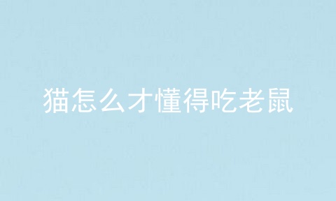 猫怎么才懂得吃老鼠