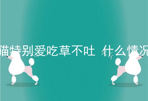 猫特别爱吃草不吐 什么情况