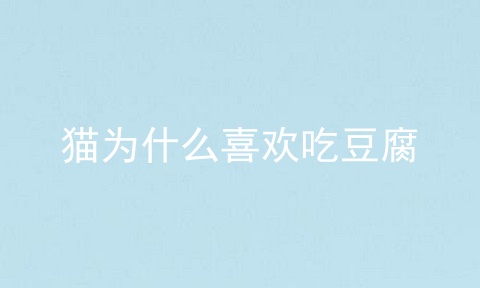 猫为什么喜欢吃豆腐