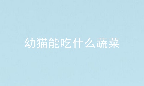 幼猫能吃什么蔬菜